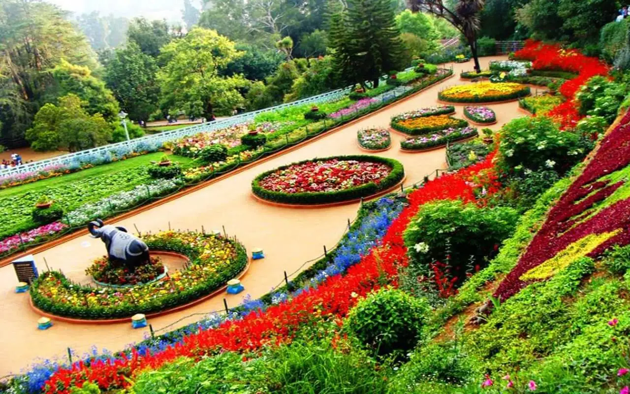 Bangalore to Ooty taxi